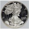 Image 1 : 1989 AMERICAN SILVER EAGLE