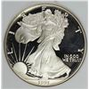 Image 1 : 1991 AMERICAN SILVER EAGLE