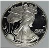 Image 1 : 1992 AMERICAN SILVER EAGLE
