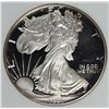 Image 1 : 1993 AMERICAN SILVER EAGLE