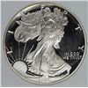 Image 1 : 1995 AMERICAN SILVER EAGLE