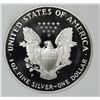 Image 2 : 1999 AMERICAN SILVER EAGLE