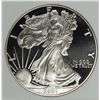 Image 1 : 2001 AMERICAN SILVER EAGLE