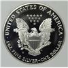 Image 2 : 2001 AMERICAN SILVER EAGLE