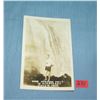 Image 2 : Man over Niagara Falls in a rubber ball post card