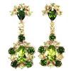 Image 1 : Natural Green Peridot & Chrome Diopside EARRINGS