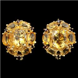 Natural CITRINE &  GARNET Earrings