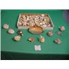 Image 2 : Large collection of sea shells and sea shell art