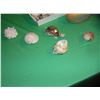 Image 7 : Large collection of sea shells and sea shell art