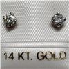 Image 1 : 14K White Gold Diamond(0.3ct) Earrings, Made in Canada (Estimated Selling Price from $210 to $420)