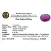 Image 2 : 8.95 ctw Oval Ruby Parcel