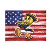 Image 1 : Warner Brothers Hologram Tweety with Flag