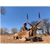 Image 4 : Wild Wildebeest LODGE 5 Day/5 Night Plains Game Safari for 2 or 4 Hunters