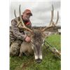 Image 3 : Double Duece Ranch Archery Whitetail Deer Hunt for One Hunter 5 Days