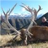 Image 2 : Rivers South Safaris/Explore! Adventures New Zealand 5 Night/4 Day Big Game Hunt for Two