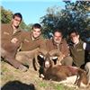 Image 4 : International Wild Hunting Spain 3 Day Hunt for Iberian Mouflon for One Hunter