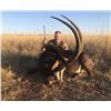 Image 2 : AB Steyn Safaris 10 Day Hunting Safari for 4 Hunters