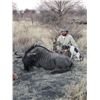 Image 5 : Wild Wildebeest LODGE 5 Day/ 5 Night Hunting Safari for 2 or 4 Hunters