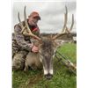 Image 3 : Double Deuce Ranch Archery Whitetail Deer Hunt for 1 Hunter