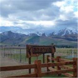 Rivers South Safaris New Zealand Big Game Hunt for Two Hunters