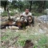 Image 2 : International Wild Hunting Spain Mouflon Sheep Hunt