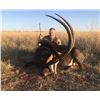 Image 2 : AB Steyn Safaris 10 Day Hunting Safari for 4 Hunters