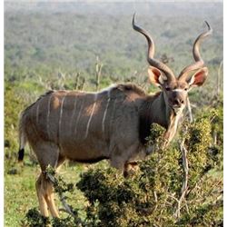 Dubula Safaris 6 Day/7 Night Safari for Two