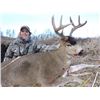 Image 1 : 5 Day Alaskan Deer, Duck, Fox Hunt for 1