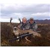 Image 2 : 5 Day Alaskan Deer, Duck, Fox Hunt for 1