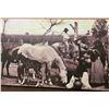 Image 4 : Large Papago Indian Photo on Canvas