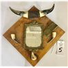 Image 10 : Antique Horn Mirror