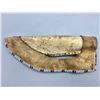 Image 8 : Beaded and Tacked Knife Sheath with Knife
