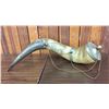 Image 1 : Extra Large Powder Horn