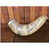 Image 4 : Extra Large Powder Horn