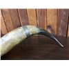 Image 5 : Extra Large Powder Horn