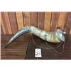 Image 8 : Extra Large Powder Horn