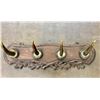 Image 2 : Horn Hat Rack - Antique