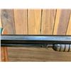 Image 9 : Winchester M. 1890 .22 WRF