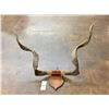 Image 11 : Will Rogers Goat Horns
