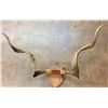 Image 1 : Will Rogers Goat Horns