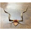 Image 2 : Will Rogers Goat Horns