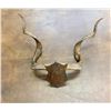 Image 6 : Will Rogers Goat Horns