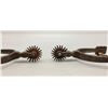 Image 7 : Chased Buermann Spurs