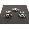 Image 4 : Unique Bug Earrings and Pin Set