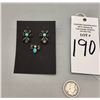Image 6 : Unique Bug Earrings and Pin Set