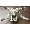Image 4 : Unique Steer Head Art