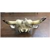 Image 5 : Unique Steer Head Art