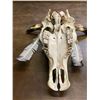 Image 9 : Unique Steer Head Art
