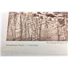 Image 4 : Original Edward Curtis Print on Velum