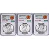 Image 1 : Lot of 1977Mo-1979Mo Mexico 100 Pesos Silver Coins NGC MS64
